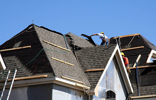 Best Gutter Installation and Roofing  in Dania Beach, FL