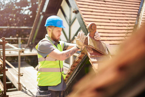 Best Storm Damage Roof Repair  in Dania Beach, FL