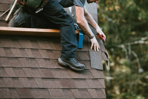 Quick and Trustworthy Emergency Roof Repair Services in Dania Beach, FL